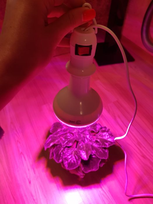 Лампа для рассады