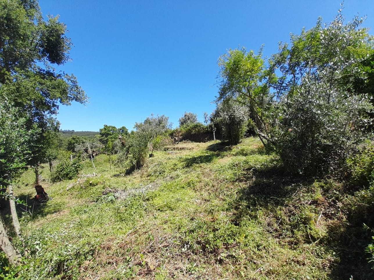 Terreno Urbano para construção na Serra e Junceira