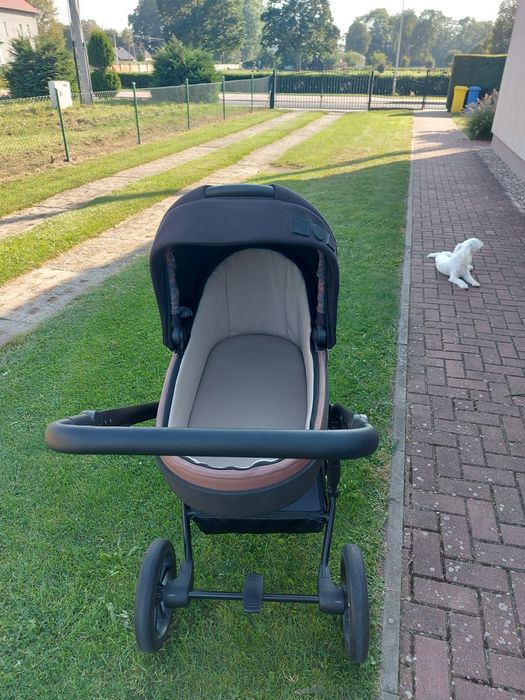 Wózek 2w1 Anex m/type safa sahin