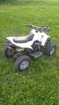 Quad 50cc japończyk