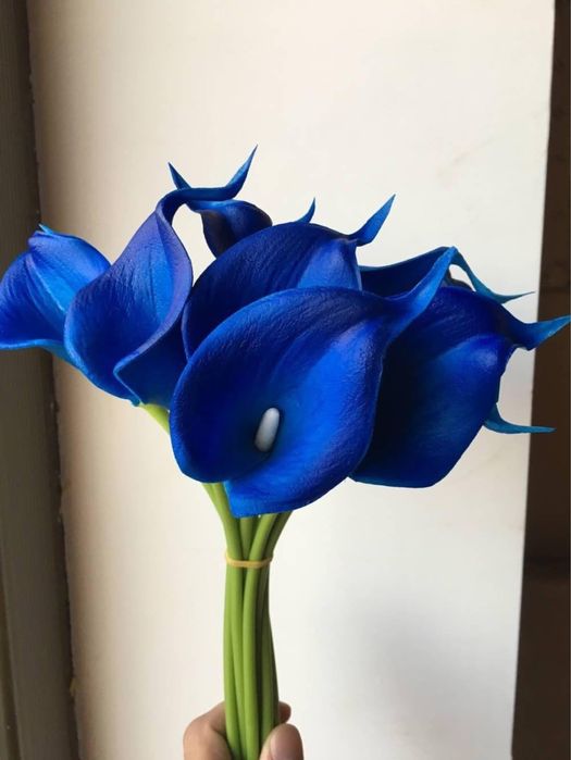 Kallie gumowe zestaw 10 sztuk A100