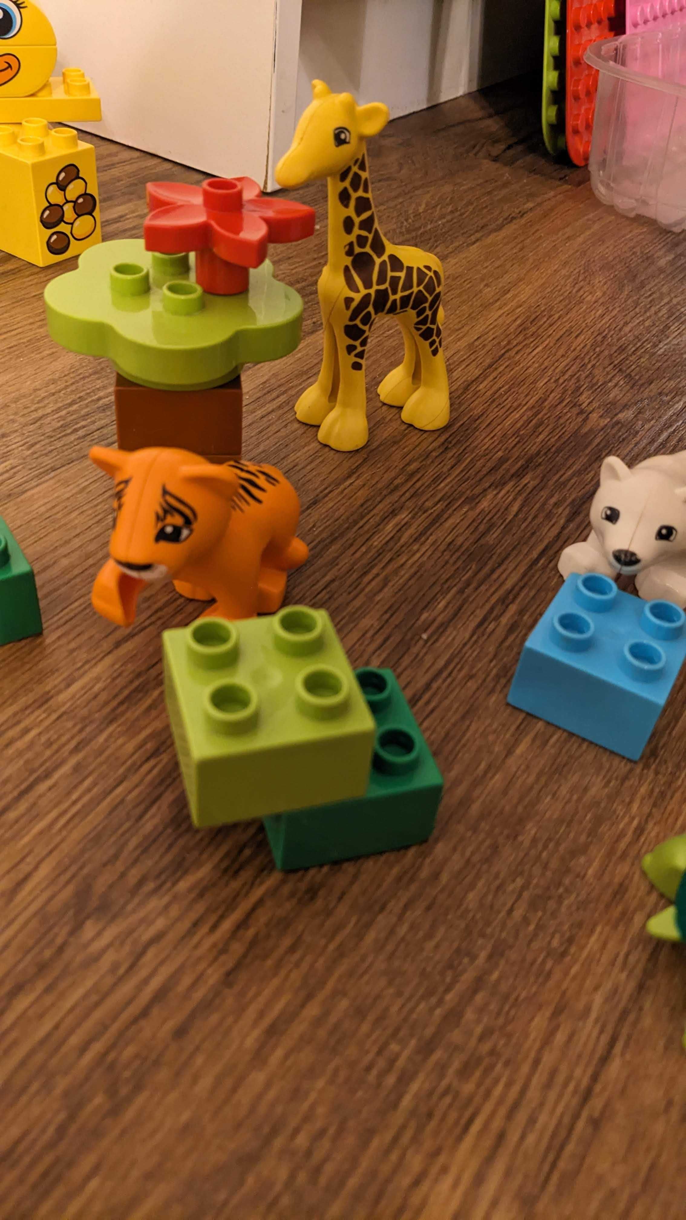 DUPLO 10801 Zwierzątka zoo z dookoła świata - kompletny; inne zestawy