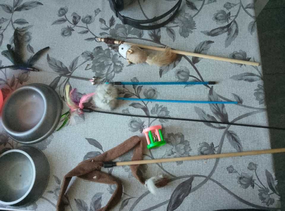 zabawki miski dla kota