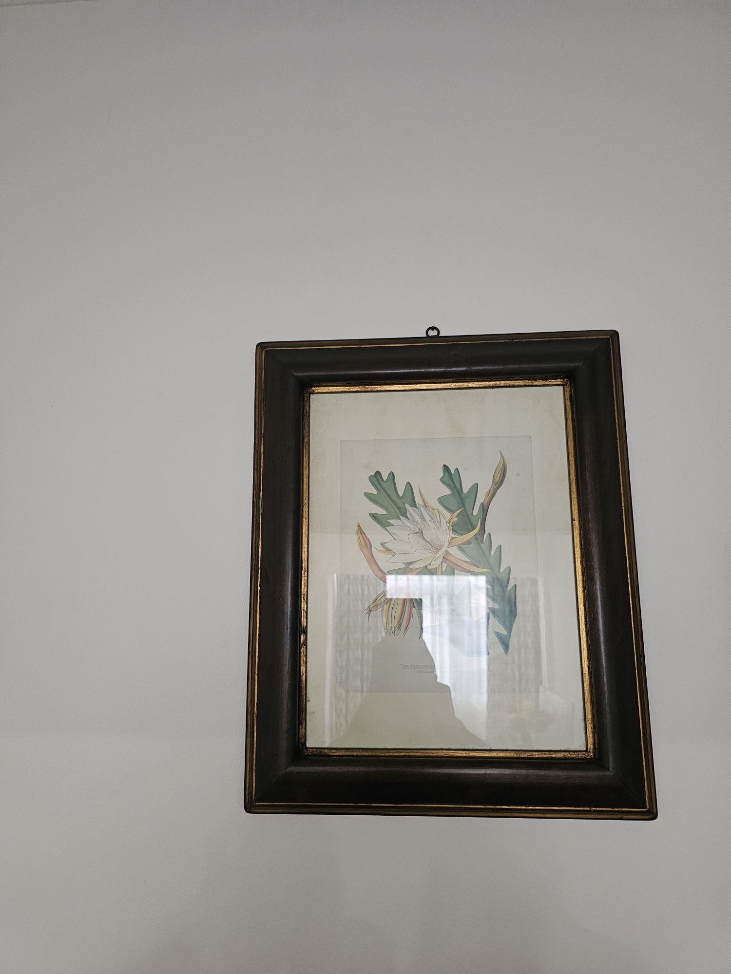 Quadro Parede Sala