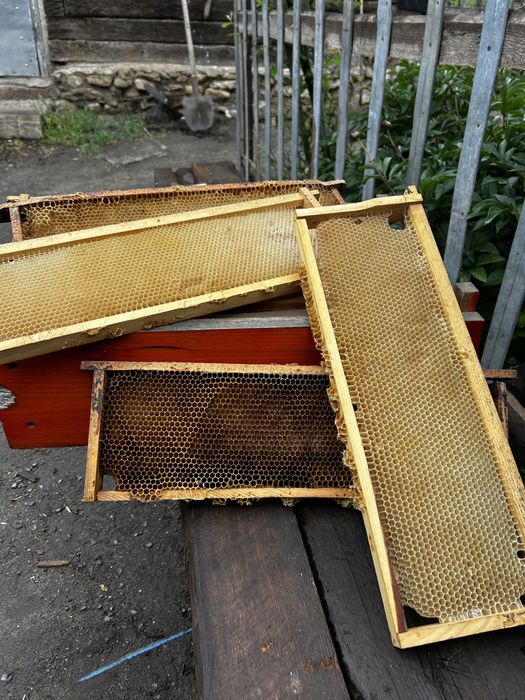 Рамки 145 300 продам