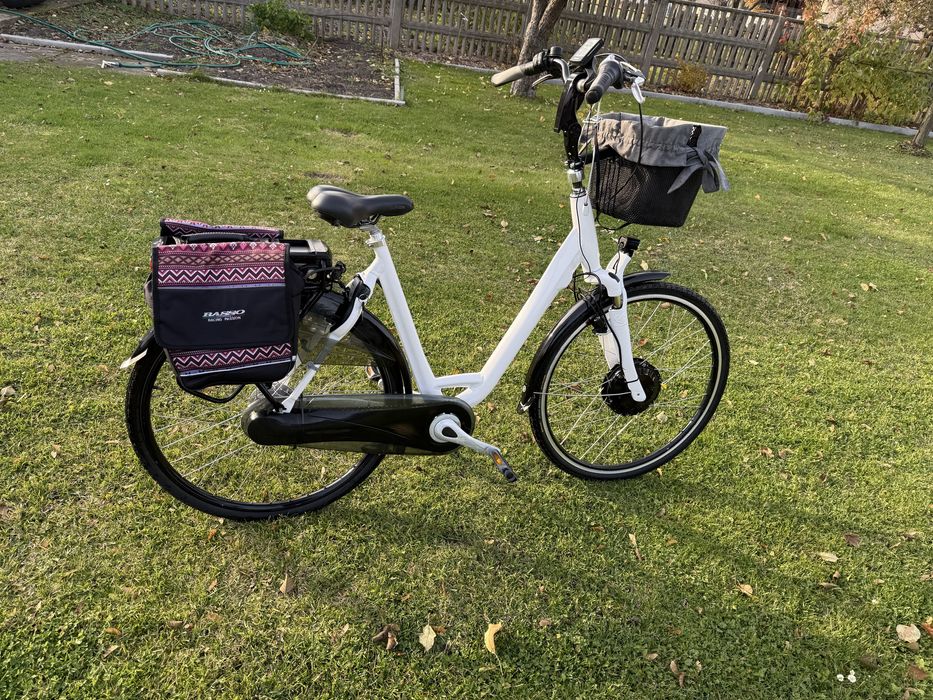 Rower elektryczny Sparta ion rx+