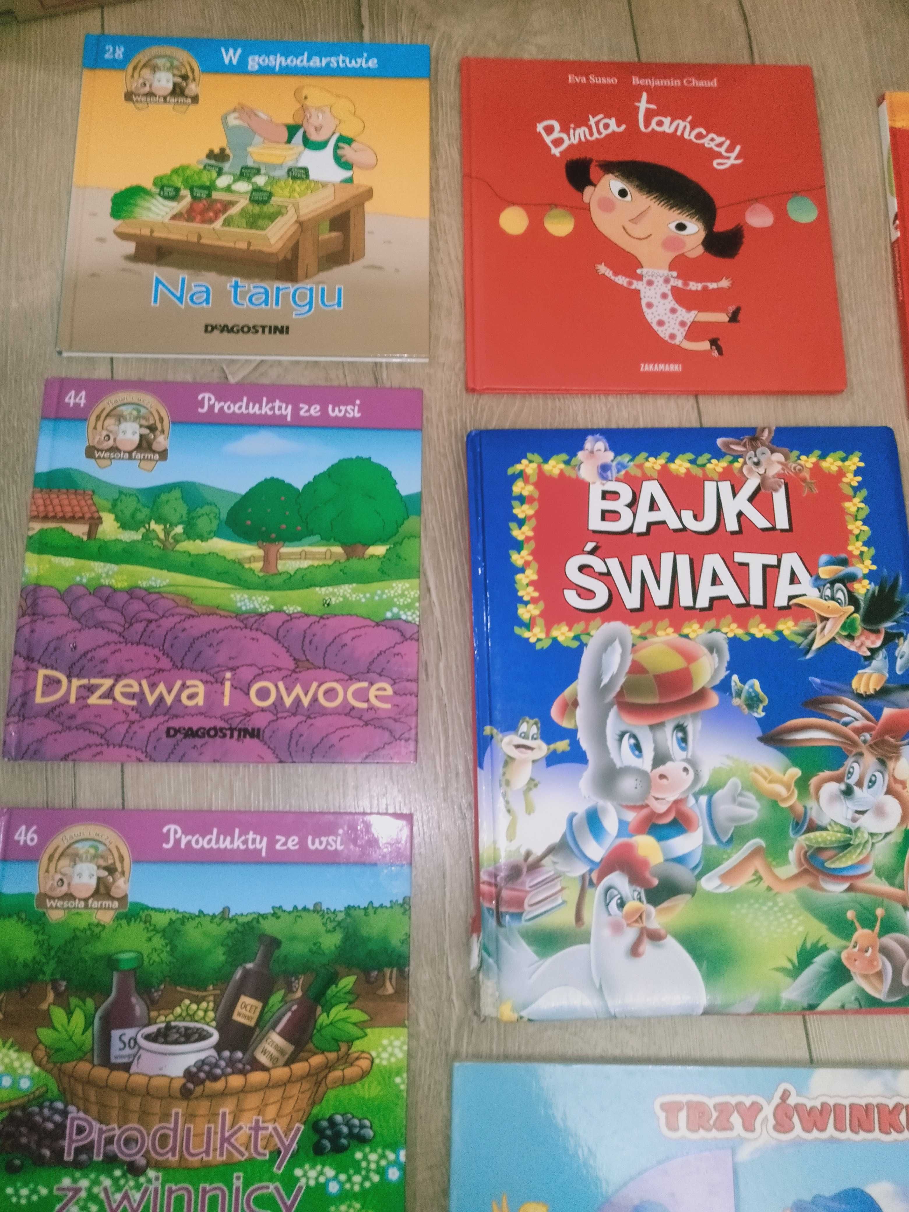 Bajki książeczki edukacyjne dla dzieci na dobranoc 10 szt. Stan bdb.