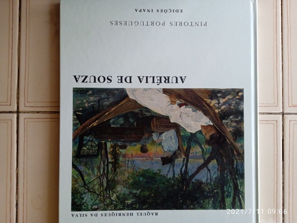 Vários livros sobre a vida e obra de pintores famosos