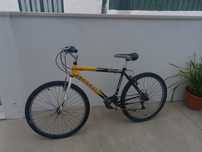 Bicicleta adulto Typhoon