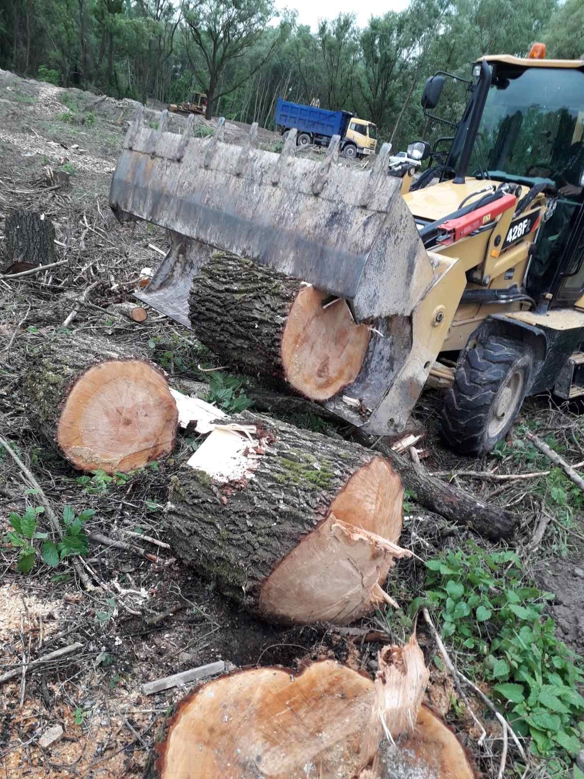 Видалення дерев. Благоустрій.Є послуги ЩЕПОРІЗА