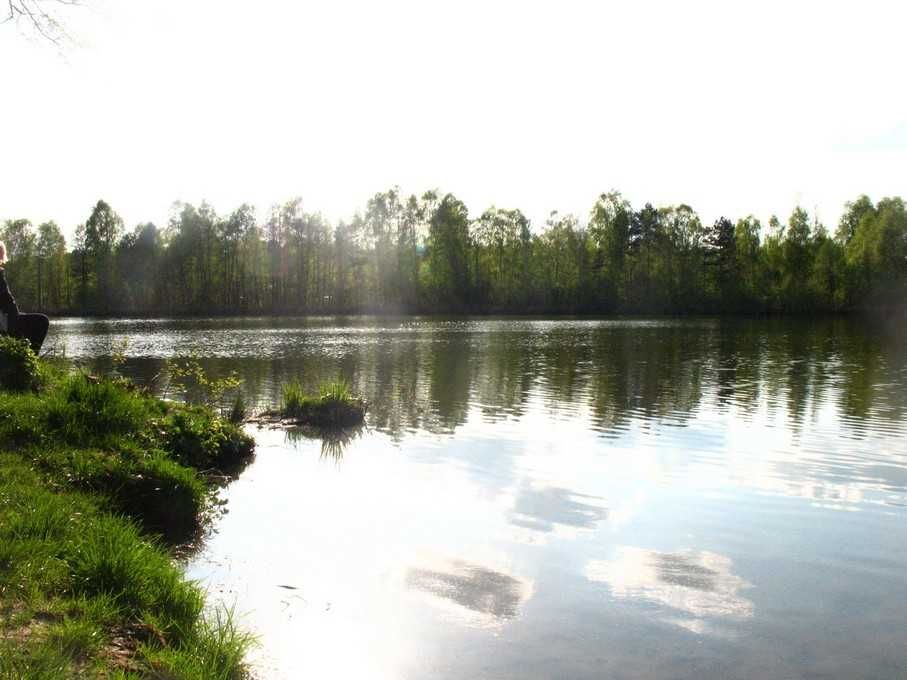 Domek letniskowy, jeziora, lasy, Sławica-"Puszcza Zielonka" do 6-8os