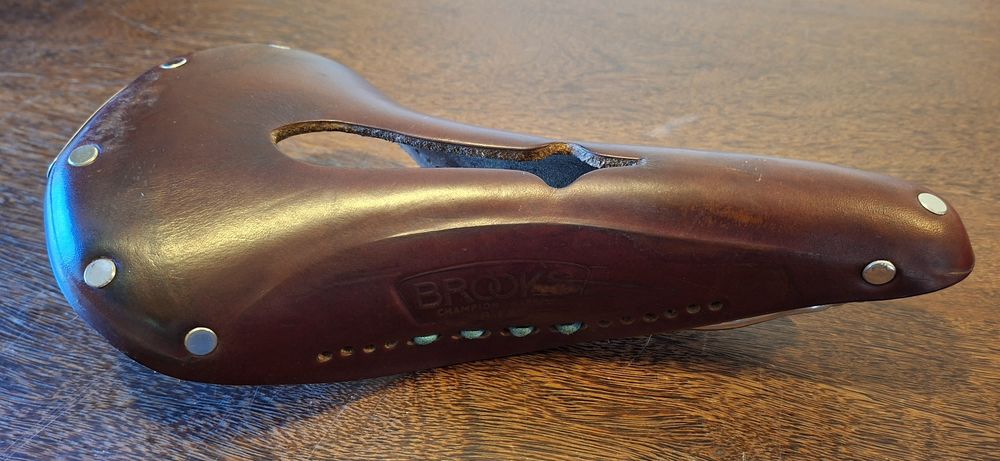 Selim Brooks B17 Curved Narrow