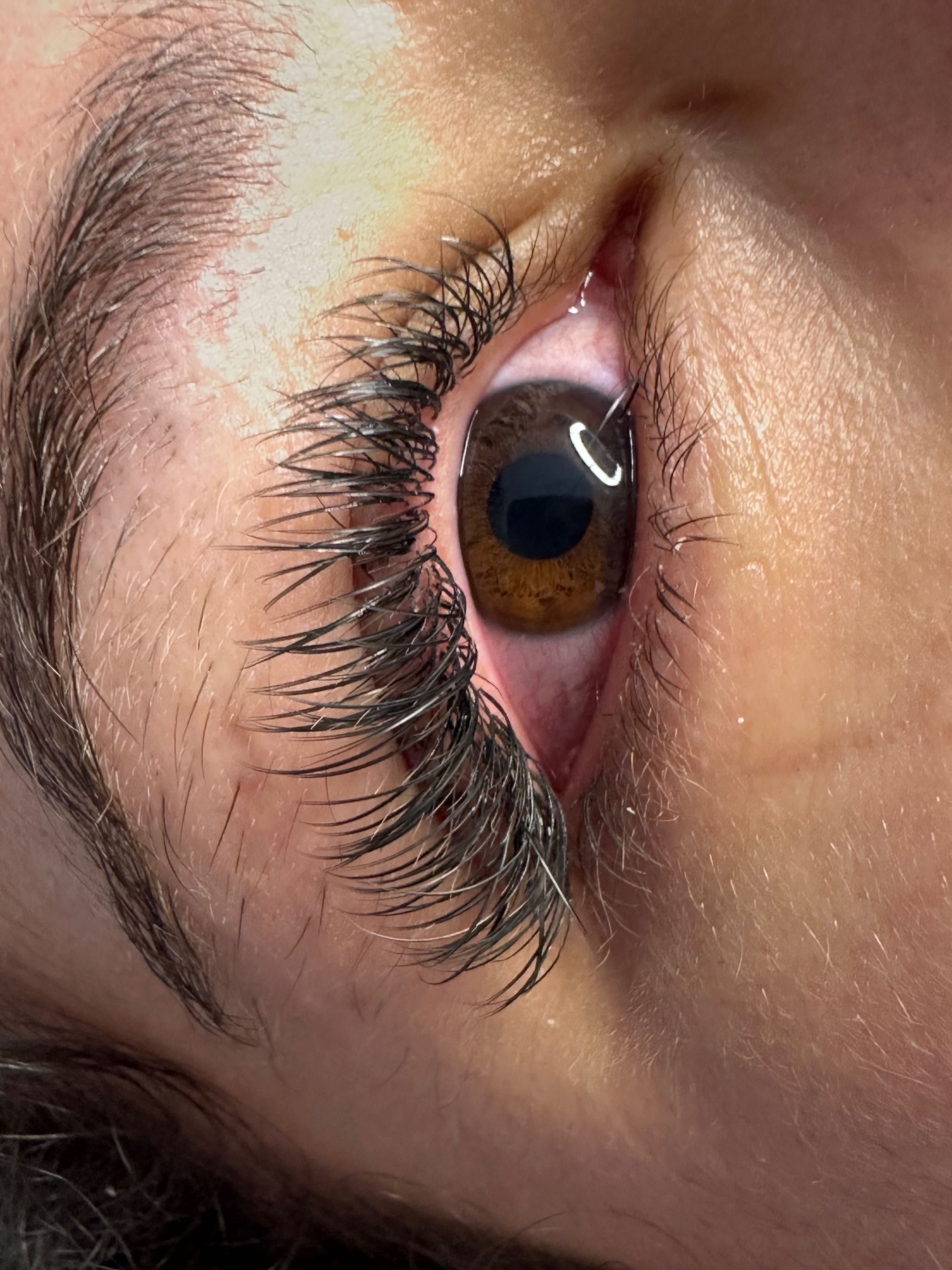 Lash design /Desing de sobrancelha