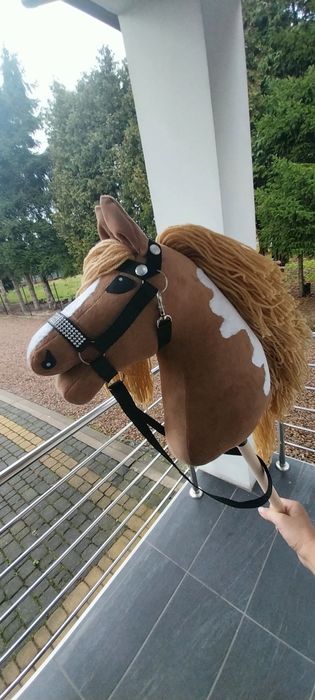 Hobby Horse-koń na kiju