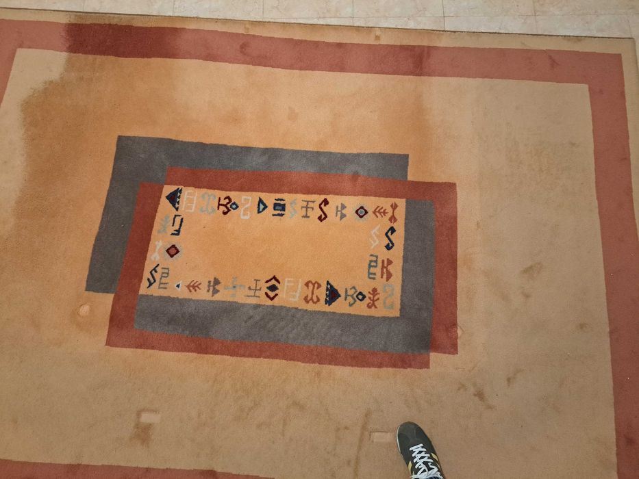 Tapete para sala ou quarto, dimensões 2,90 x 2,00 m, bom estado