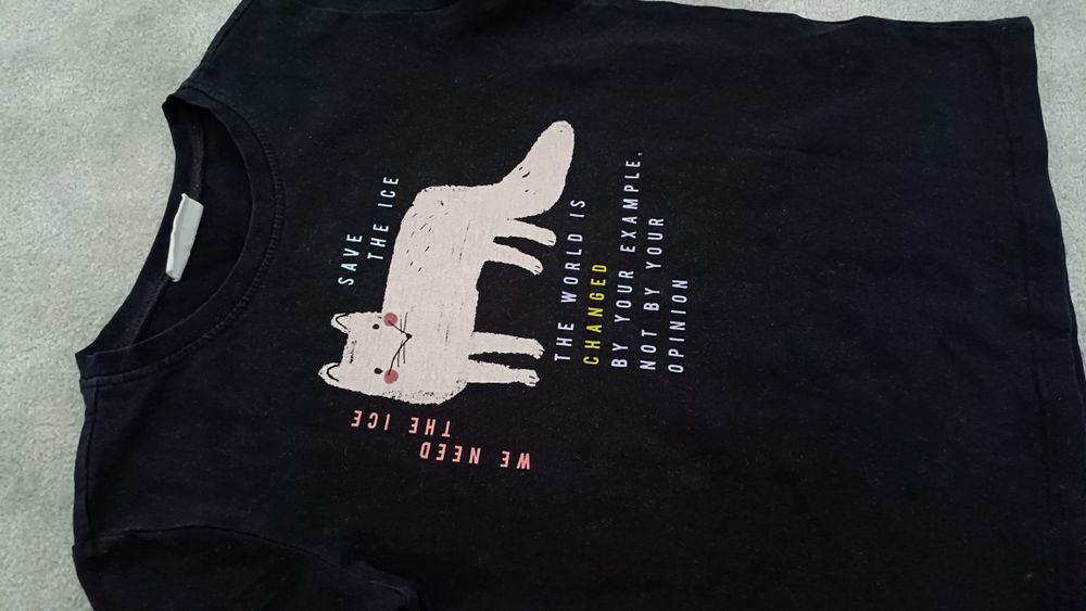 Coccodrillo koszulka na krótki rękaw 116