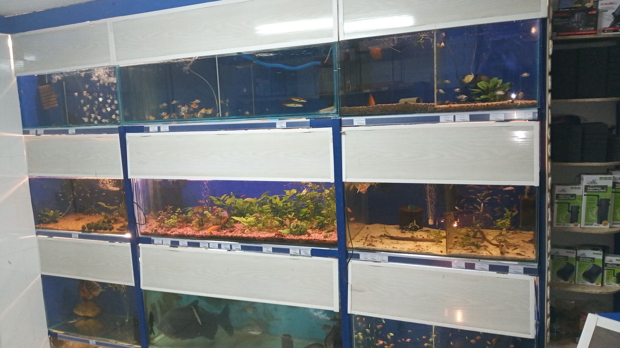 Корма для аквариумных рыбок, аквариумные рыбки,корма для животных