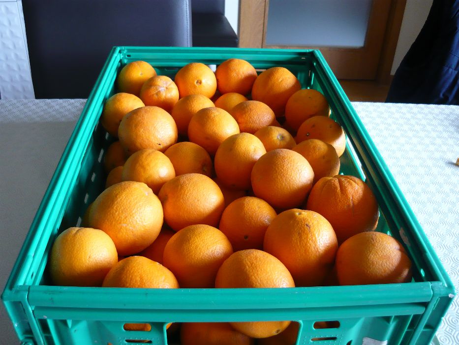 Cabaz de fruta - Laranja - do Pinhão - Região do Douro