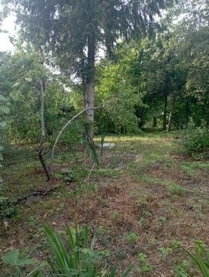 Do sprzedania działka ROD Sosnowiec
