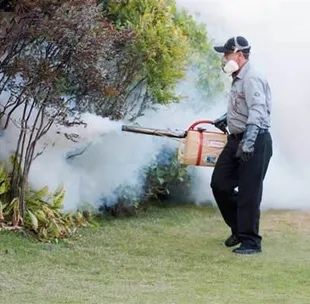 DESINFESTAÇÃO PERCEVEJOS BARATAS PULGAS TÉRMITAS