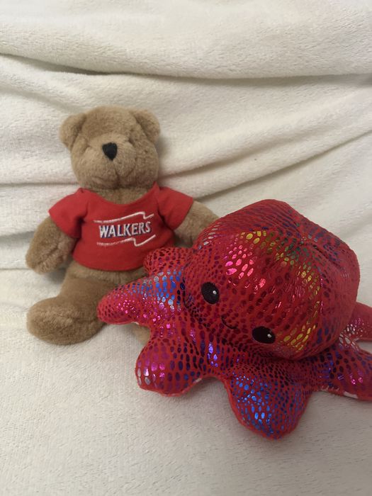 Мʼякі іграшки дитячі