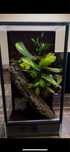 Terrarium 40x40x60 tropikalne