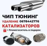 Удалить Катализатор Евро2 Чип Тюнинг Отключить DPF ЕГР STAGE1 Check