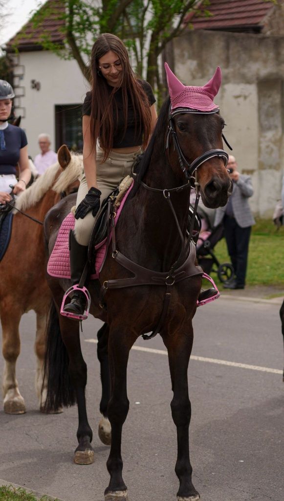Klacz  hanowerska  7l