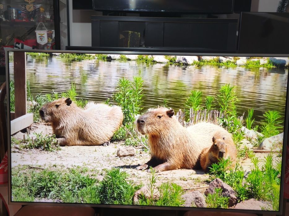 Smart TV LG 55UH770V