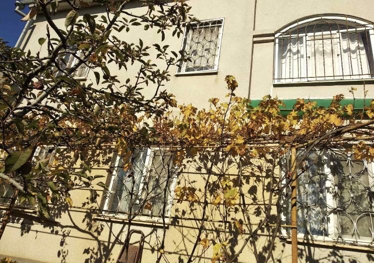 Купите дом в с. Вапнярка