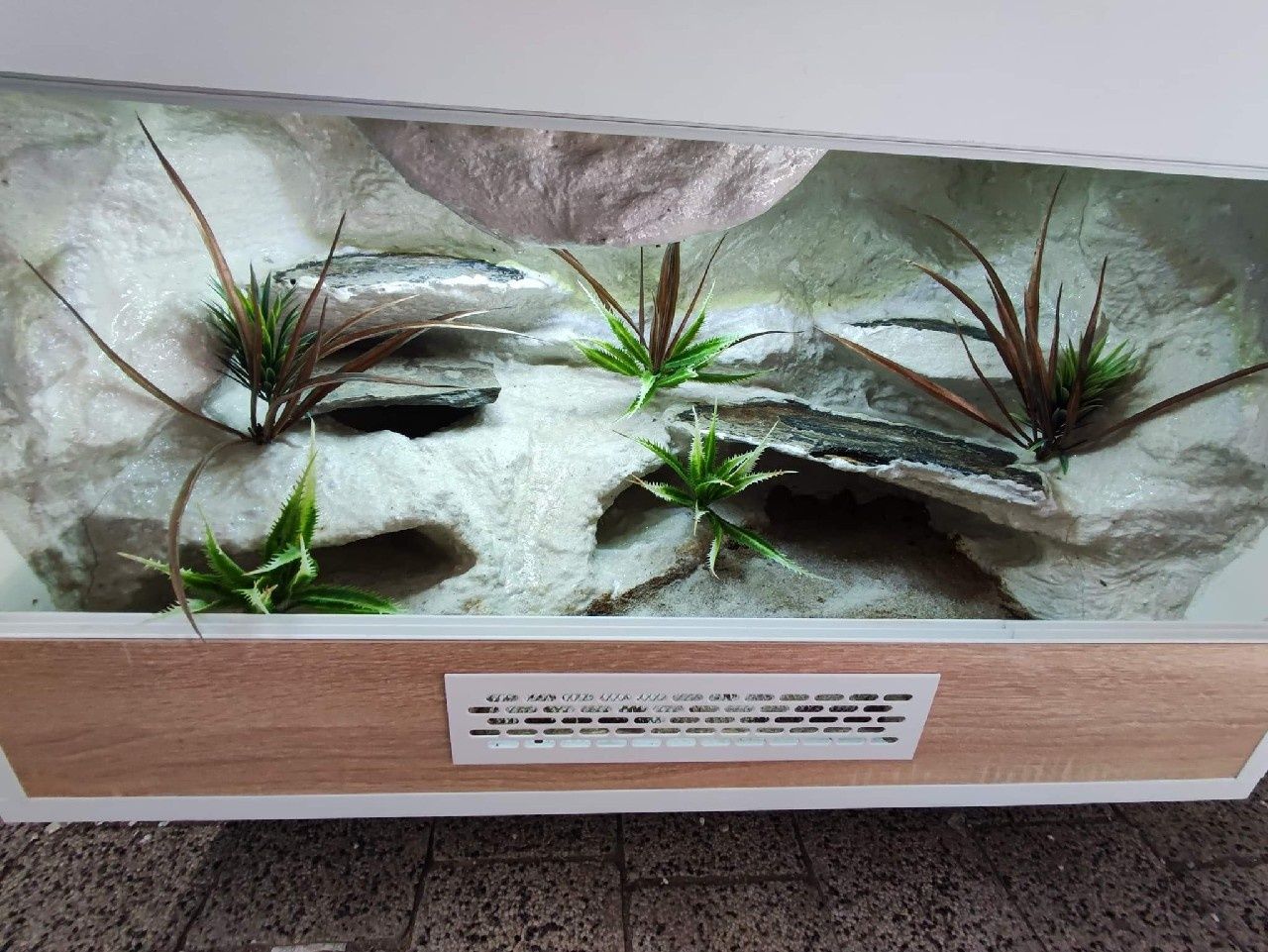 Terrarium gekon lamparci jaszczurka PETMARKET