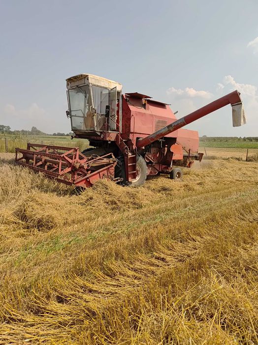 Bizon rekord z058 z sieczkarnia