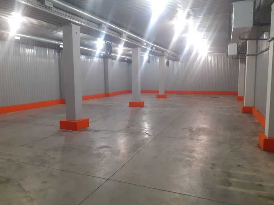 Аренда холодильной камеры, Вишневое