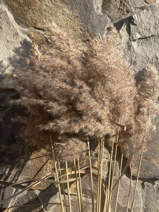 Тюки з соломи/сіна (декор)