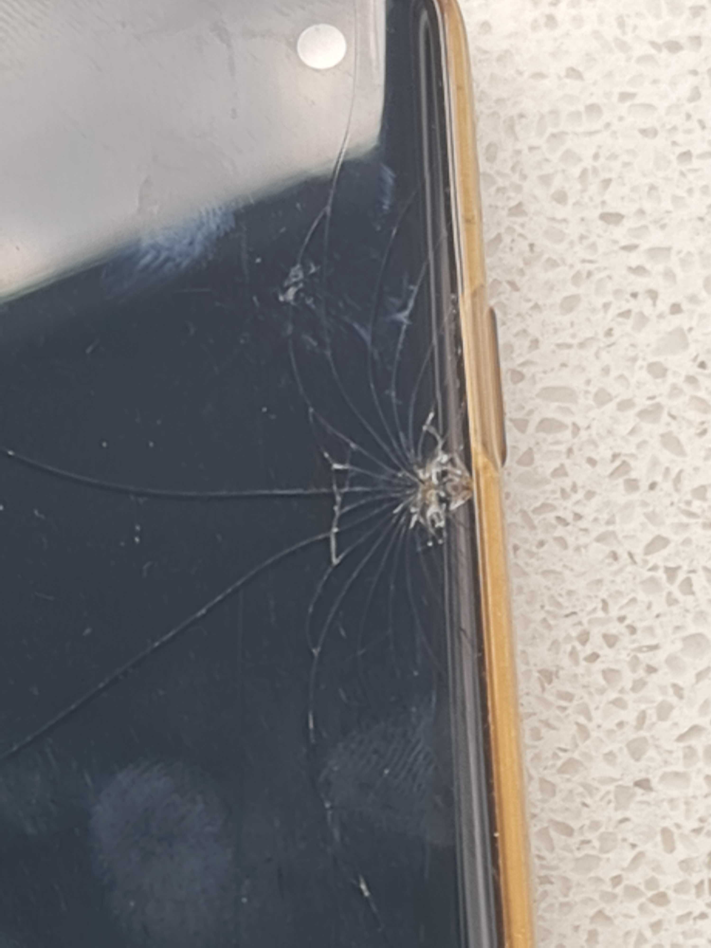 uszkodzony Samsung Galaxy S10