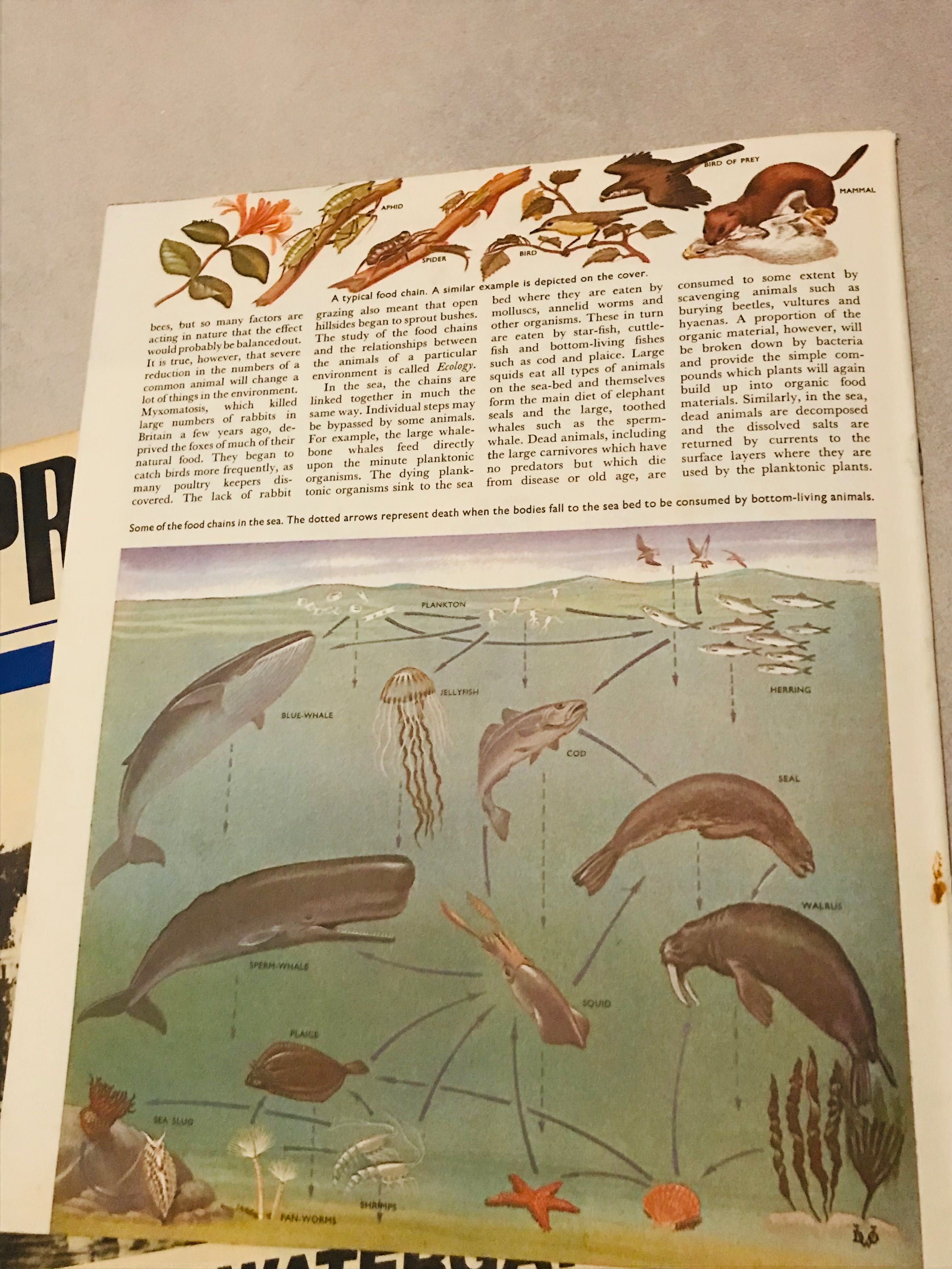 Lata 60 te Vintage angielski magazyn czasopismo naukowy ilustracje