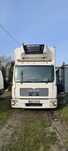 MAN TGL 12.210 Chłodnia DMC11990 zamiana