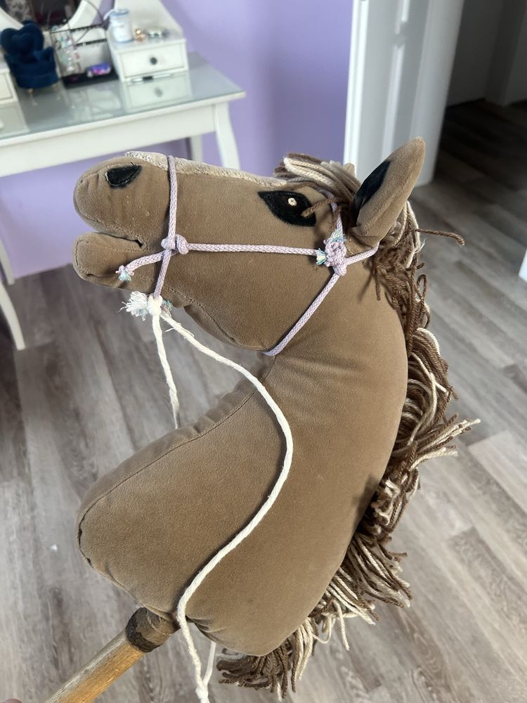 Hobby horse , koń do zabawy