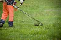 Koszenie trawy, oczyszczanie działek, utrzymanie obiektów