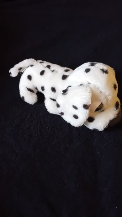 Maskotka dalmatyńczyk piesek