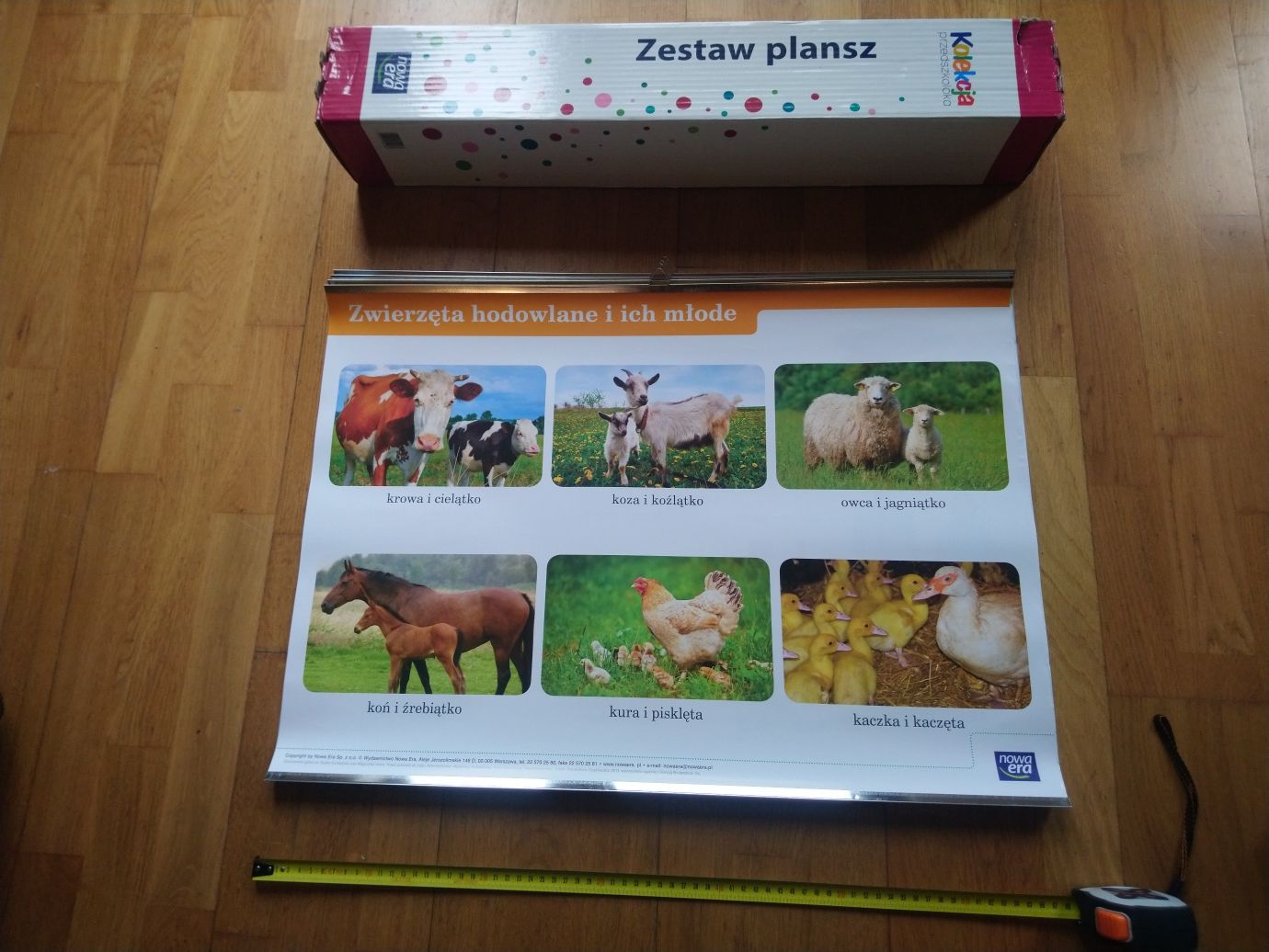 Tablice dydaktyczne do przedszkola