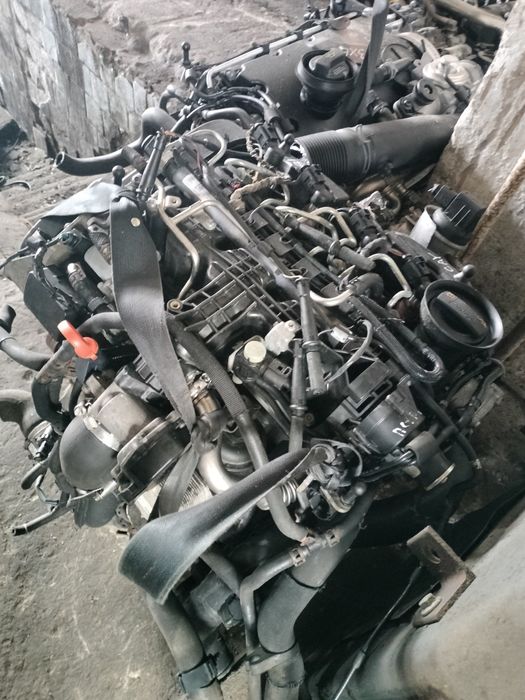 Мотор двигун  1.6 TDI (CAY) 77kw Volkswagen Golf 6, Passat B6-B7 Cadyy