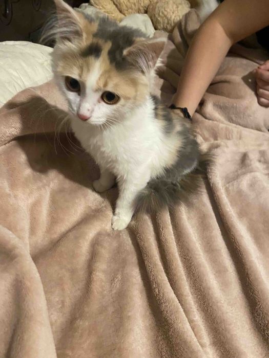 В люблячу родину ‼️