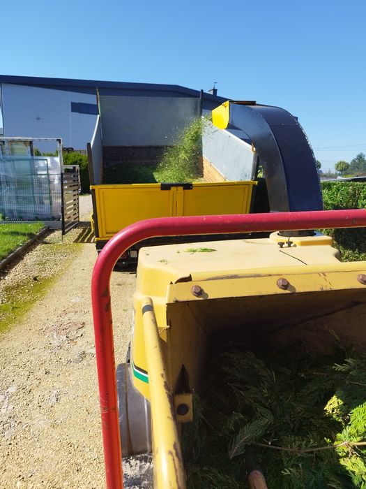 Wycinka drzew , pielęgnacja ogrodów ,koszenie traw