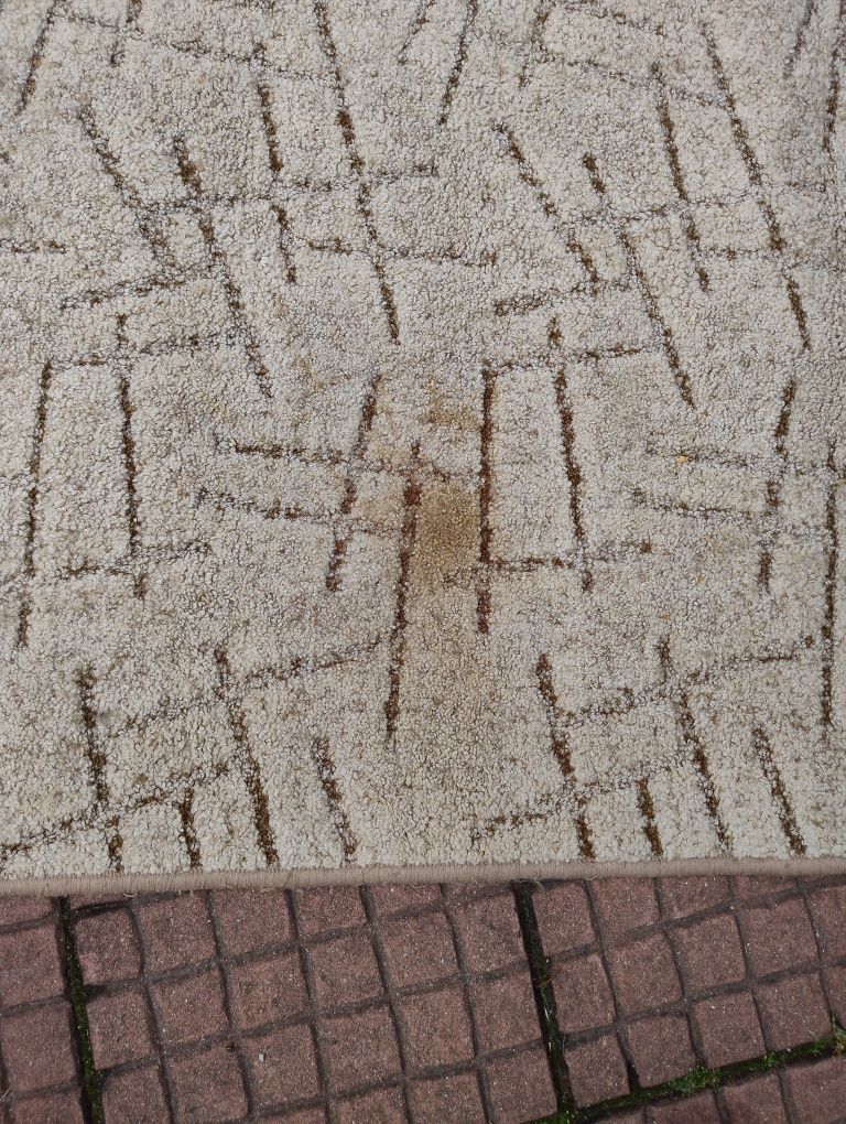 Dywan  za darmo z lekką plama