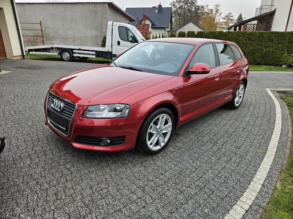 Audi a3 8p lift 1.6b 102ps