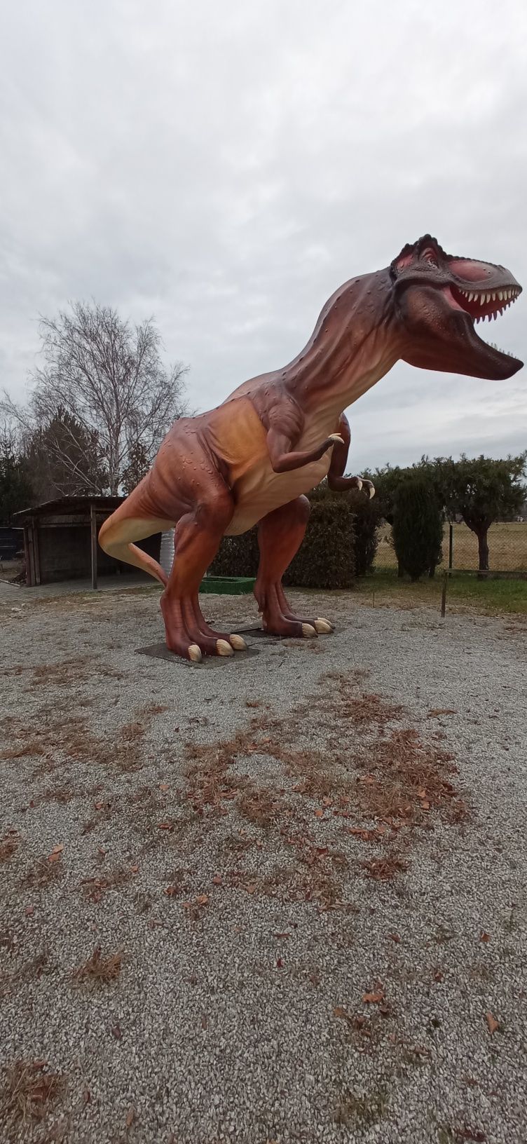 Dinozaur T-rex XXL laminat figura ogrodowa