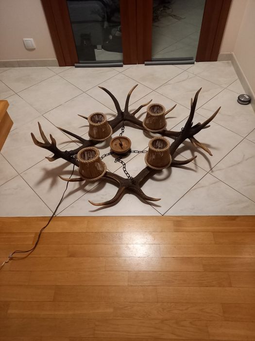 Żyrandol z poroża jelenia
