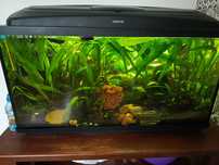 Akwarium 80x40x35  112L