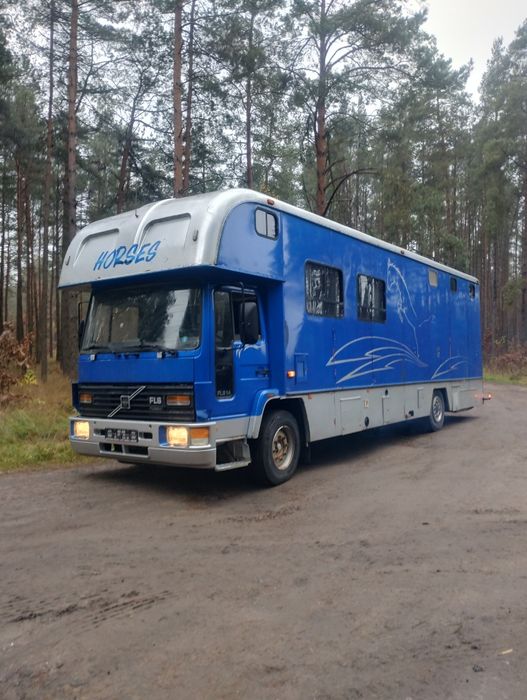 Koniowóz Volvo fl